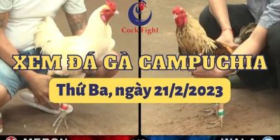 da-ga-campuchia-21-2-2023