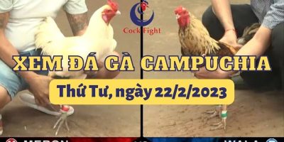 da-ga-campuchia-22-2-2023