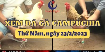 da-ga-campuchia-23-2-2023