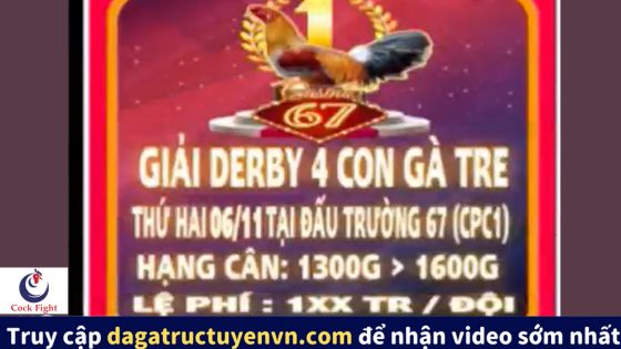 giai da ga tre ngay 6-11-2023