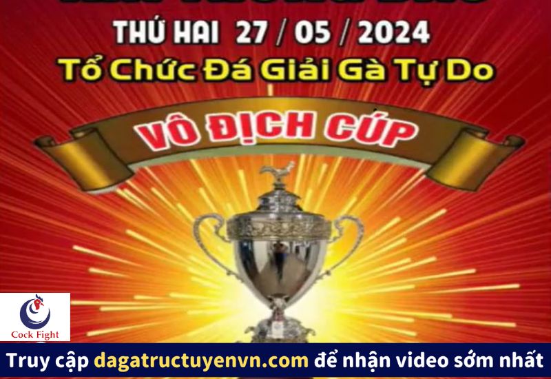 Full Giải Đá Gà Tự Do 1 năm bồ C3 Thomo 27/5/2024 ( + Video C4)