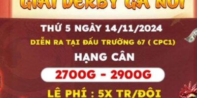 giai derby ga noi ngay 14-11